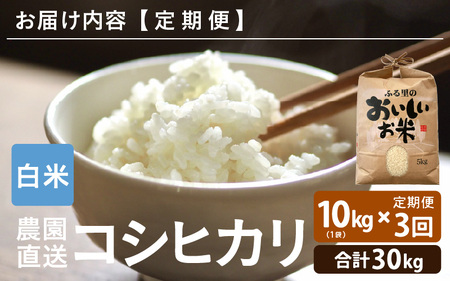 【先行予約】【令和8年産・新米】【農家直送定期便 3ヶ月コース】本原農園のまごころコメたコシヒカリ 10kg × 3回 計30kg（白米）【2026年10月上旬以降順次発送】 [G-8911_01]