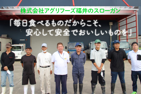【令和7年産】 【6ヶ月連続お届け定期便】おおかわさんちのコシヒカリ 5kg × 6回 計30kg 精米 [G-10802]