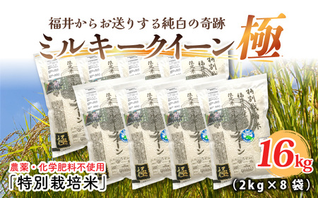 【令和6年産・新米】（白米）お米の女王！農薬・化学肥料不使用 特別栽培米 ミルキークイーン極16kg (2kg × 8袋) [F-2915_01]