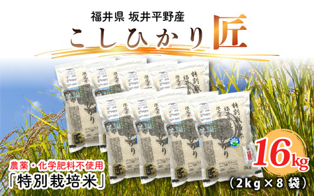 【令和7年産】特別栽培米コシヒカリ匠 16kg (2kg × 8袋)（白米）栽培期間中農薬不使用 / コシヒカリ こしひかり 白米 お米 [I-2905_01]