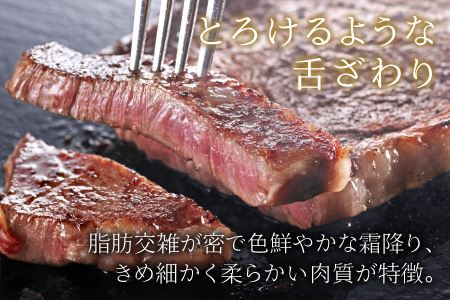 厚切り！ 若狭牛特上サーロインステーキ 250g × 3枚 [E-1803]