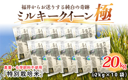 【令和6年産・新米】（白米）お米の女王！農薬・化学肥料不使用 特別栽培米 ミルキークイーン極 計20kg [H-2904_01]