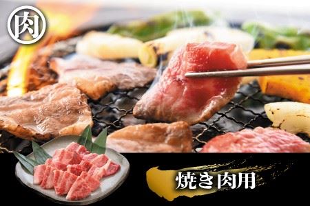 【3ヶ月連続お届け】 若狭牛ふるさと定期便B [F-2204]