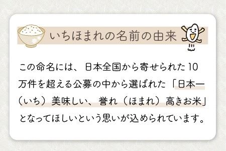 【令和7年産】定期便 ≪6ヶ月連続お届け≫ 福井県のブランド米 いちほまれ 無洗米 5kg × 6回 計30kg 【 無洗米 人気 品種 ブランド米 特A 】 [K-6107]