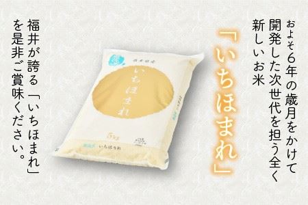 【令和7年産】定期便 ≪6ヶ月連続お届け≫ 福井県のブランド米 いちほまれ 無洗米 5kg × 6回 計30kg 【 無洗米 人気 品種 ブランド米 特A 】 [K-6107]