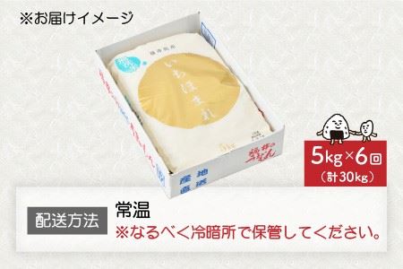 【令和7年産】定期便 ≪6ヶ月連続お届け≫ 福井県のブランド米 いちほまれ 無洗米 5kg × 6回 計30kg 【 無洗米 人気 品種 ブランド米 特A 】 [K-6107]