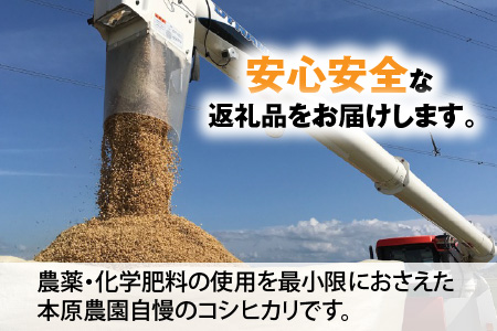 【令和5年産】【農家直送定期便 12ヶ月コース】【白米】 本原農園のまごころコメた 福井県産 コシヒカリ 5kg × 12回 計60kg [G-8901_01]