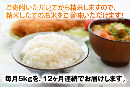 【令和5年産】【農家直送定期便 12ヶ月コース】【白米】 本原農園のまごころコメた 福井県産 コシヒカリ 5kg × 12回 計60kg [G-8901_01]