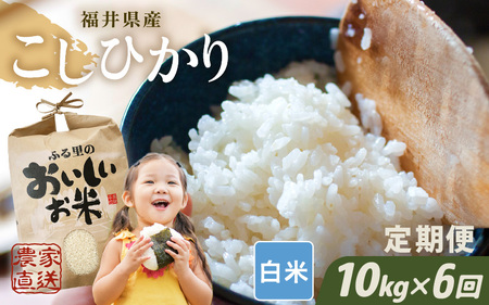 【先行予約】【令和8年産・新米】【農家直送定期便 6ヶ月コース】【白米】 本原農園のまごころコメた 福井県産 コシヒカリ 10kg × 6回 計60kg 【2026年10月上旬以降順次発送】 [L-8907_01]