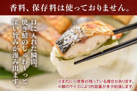 【9ヶ月連続お届け】 福井の美味しい特産品 「焼き鯖」寿司 3本セット × 9回 （計5種） [H-0501]