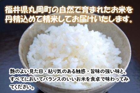 【令和7年産】 【6ヶ月連続お届け定期便】おおかわさんちのコシヒカリ 10kg × 6回 計60kg  [L-10802]