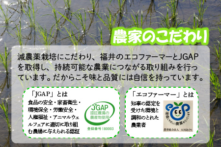【令和7年産】 【6ヶ月連続お届け定期便】おおかわさんちのコシヒカリ 10kg × 6回 計60kg  [L-10802]