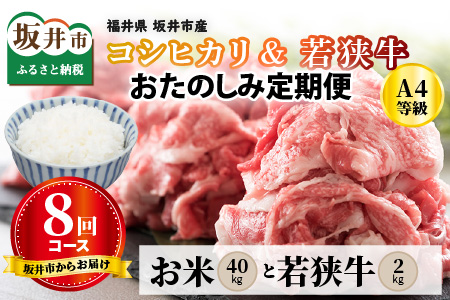 【定期便 8回コース】 坂井市産コシヒカリ 計40㎏ ＋ 若狭牛切り落とし 計2㎏ [J-3201]