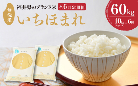 【令和7年産】 定期便 ≪6ヶ月連続お届け≫ 福井県のブランド米 いちほまれ 無洗米 10kg × 6回 計60kg 【 無洗米 人気 品種 ブランド米 特A 】 [O-6106]