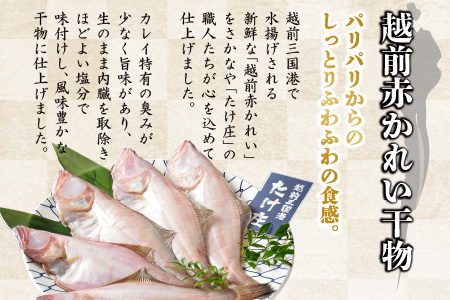 【先行予約】訳あり≪茹で≫越前ズワイ蟹(大) 3杯 と 干しカレイ 6匹【2026年1月～3月発送予定】 [P-1605]