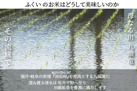 【定期便 24回 梅コース】 坂井市産コシヒカリ 5kg×24回 計120kg ～驚愕のコシヒカリ2年分～ 【米 こめ お米 ご飯 こしひかり 精米 5キロ ふるさと納税米】 [N-3204]