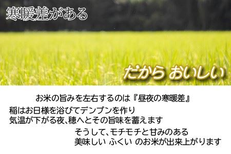 【定期便 24回 梅コース】 坂井市産コシヒカリ 5kg×24回 計120kg ～驚愕のコシヒカリ2年分～ 【米 こめ お米 ご飯 こしひかり 精米 5キロ ふるさと納税米】 [N-3204]