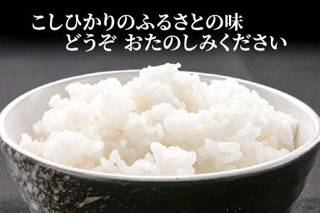 【定期便 24回 梅コース】 坂井市産コシヒカリ 5kg×24回 計120kg ～驚愕のコシヒカリ2年分～ 【米 こめ お米 ご飯 こしひかり 精米 5キロ ふるさと納税米】 [N-3204]