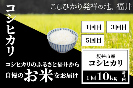 【日本最長定期便 24回コース】 坂井市産コシヒカリ 計120kg ＋ 若狭牛A4等級がっつり 計12kg [R-3201]