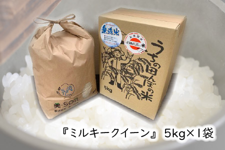 ふるさと納税 【先行予約】【令和5年度産・新米】【低農薬】極上米10kg