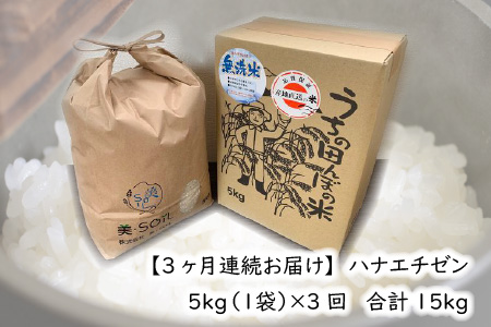 【令和6年産・新米】【3ヶ月連続お届け】福井県産 低農薬極上米 無洗米 5kg × 3回 計15kg 『ハナエチゼン』[E-8806_02]