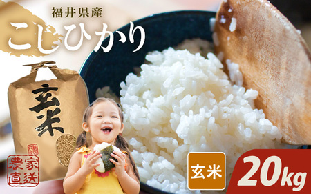 【先行予約】【令和8年産・新米】【玄米10kg×2袋】福井県産 コシヒカリ20kg 【2026年10月上旬以降順次発送】 [D-8915_02] 26,250円