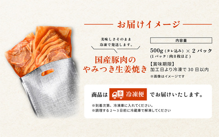 国産豚肉のやみつき生姜焼き 500ｇ×2袋 計1kg [A-2231]