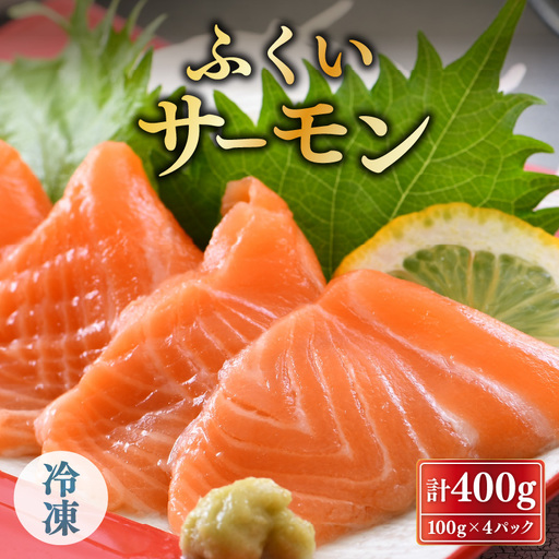 ふくいサーモン 400g (刺身用)　真空冷凍　100g × 4パック 【サーモン 鮭 刺身 さけ サケ さかな 魚 人気 海鮮 海鮮食品 小分け お刺身用 生食用 生食可 低脂肪 低カロリー ヘルシー 冷凍 国産】[A-6232]
