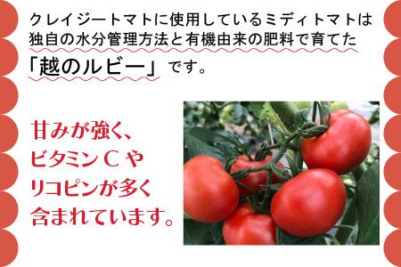 【3ヶ月連続お届け】【完熟収穫100％】トマトジュース！「クレイジートマト」[C-2702]