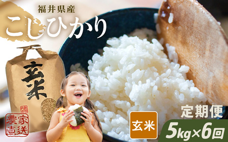 【先行予約】【令和8年産・新米】【農家直送定期便 6ヶ月コース】【玄米】 本原農園のまごころコメた 福井県産 コシヒカリ 5kg × 6回 計30kg 【2026年10月上旬以降順次発送】 [G-8910_02]