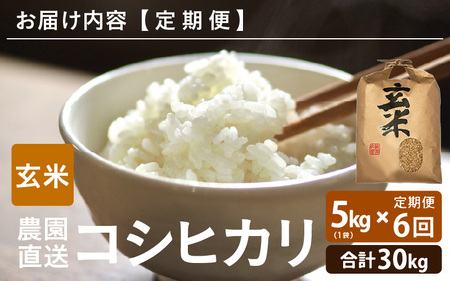 【先行予約】【令和8年産・新米】【農家直送定期便 6ヶ月コース】【玄米】 本原農園のまごころコメた 福井県産 コシヒカリ 5kg × 6回 計30kg 【2026年10月上旬以降順次発送】 [G-8910_02]