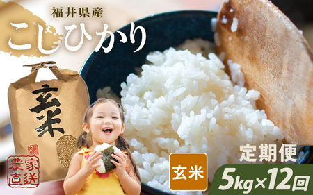 【先行予約】【令和8年産・新米】【農家直送定期便 12ヶ月コース】【玄米】 本原農園のまごころコメた 福井県産 コシヒカリ 5kg × 12回 計60kg 【2026年10月上旬以降順次発送】 [L-8906_02]