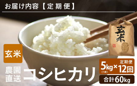 【先行予約】【令和8年産・新米】【農家直送定期便 12ヶ月コース】【玄米】 本原農園のまごころコメた 福井県産 コシヒカリ 5kg × 12回 計60kg 【2026年10月上旬以降順次発送】 [L-8906_02]