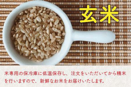 【先行予約】【令和8年産・新米】【6ヶ月定期便】 コシヒカリ10kg×6回　合計60kg（玄米）【2026年10月より順次発送予定】 [L-11304_02]