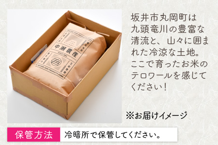 【先行予約】【令和8年産・新米】【6ヶ月定期便】 コシヒカリ10kg×6回　合計60kg（玄米）【2026年10月より順次発送予定】 [L-11304_02]
