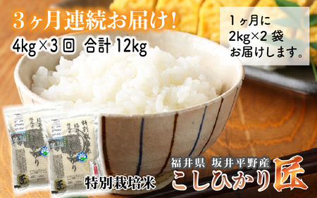 【令和7年産】（玄米）【3ヶ月連続お届け】特別栽培米 コシヒカリ匠4kg × 3回 計12kg  栽培期間中農薬不使用 / コシヒカリ こしひかり 白米 お米 [F-2922_02]