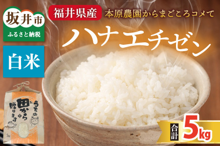 【先行予約】【令和8年産・新米】 ハナエチゼン5kg × 1袋 ～本原農園からまごころコメて～（白米）【2026年9月上旬以降順次発送予定】  [A-8933_01]