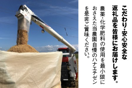 【先行予約】【令和8年産・新米】 ハナエチゼン5kg × 1袋 ～本原農園からまごころコメて～（玄米）【2026年9月上旬以降順次発送予定】 [A-8984_02]