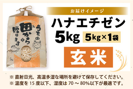 【先行予約】【令和8年産・新米】 ハナエチゼン5kg × 1袋 ～本原農園からまごころコメて～（玄米）【2026年9月上旬以降順次発送予定】 [A-8984_02]
