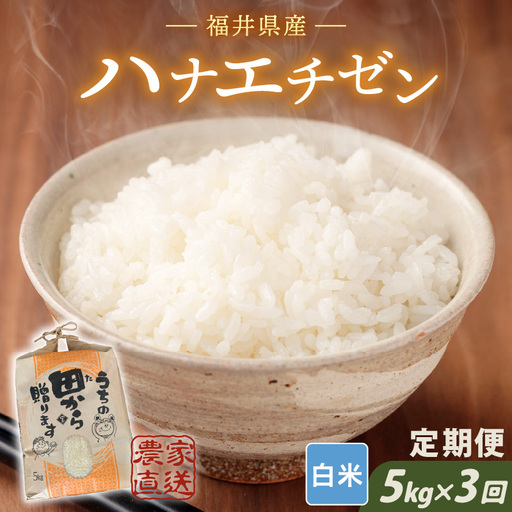 【先行予約】【令和8年産・新米】定期便 ≪3ヶ月連続お届け≫ ハナエチゼン5kg×3回 計15kg ～本原農園からまごころコメて～（白米）【2026年9月上旬以降順次発送予定】 [C-8915_01]