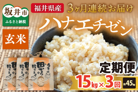 【先行予約】【令和8年産・新米】定期便 ≪3ヶ月連続お届け≫ ハナエチゼン15kg×3回 計45kg ～本原農園からまごころコメて～（玄米）【2026年9月上旬以降順次発送予定】 [I-8905_02]