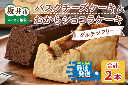 グルテンフリーのケーキセット バスクチーズケーキとおからショコラ 【お菓子 スイーツ ケーキ おやつ ギフト 贈答 美味しい 可愛い 取り寄せ お取り寄せ グルメ おすすめ 冷凍 デザート 小麦粉不使用】 [B-15401]