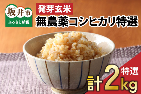 【令和4年産】【発芽玄米】無農薬コシヒカリ「特選」 特別栽培米使用 2kg【A-2919】
