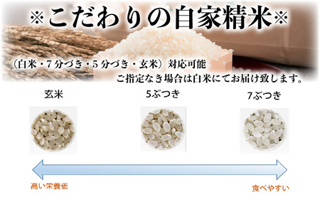 【令和6年産・新米】あきさかり 5kg～坂井市三国町産・こだわりの精米対応～ （上白米） [A-0253_01]