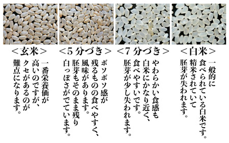 【令和6年産・新米】あきさかり 5kg～坂井市三国町産・こだわりの精米対応～ （上白米） [A-0253_01]