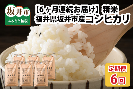 【令和7年産・新米先行予約】【6ヶ月定期便】 コシヒカリ5kg×6回　合計30kg（精米）【2025年10月より順次発送予定】【米定期便 精米定期便 回数定期便 こめ定期便 5キロ定期便 定期便】 [I-11302_03]