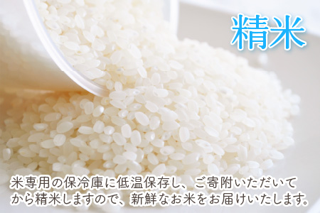 【令和7年産・新米先行予約】【6ヶ月定期便】 コシヒカリ5kg×6回　合計30kg（精米）【2025年10月より順次発送予定】【米定期便 精米定期便 回数定期便 こめ定期便 5キロ定期便 定期便】 [I-11302_03]