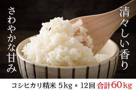 【令和6年産・新米】【12ヶ月連続お届け】福井県坂井市丸岡町産 コシヒカリ5kg×12回 計60kg（精米） [J-11305_03]