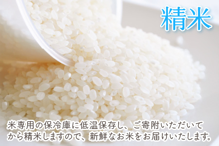 【令和6年産・新米】【12ヶ月連続お届け】福井県坂井市丸岡町産 コシヒカリ5kg×12回 計60kg（精米） [J-11305_03]