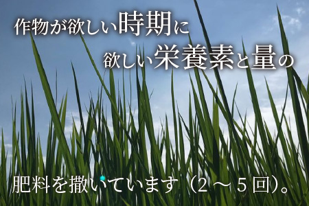 【先行予約】【令和8年産・新米】【特別栽培米】福井県産 コシヒカリ 5kg ～化学肥料にたよらない 有機肥料100%～ ネオニコフリー（玄米）【2026年10月以降順次発送予定】 [A-13410_02]